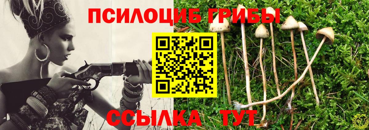 Галлюциногенные грибы MAGIC MUSHROOMS  Вход с VPN  Псилоцибиновые грибы Psilocybine cubensis  Фролово 